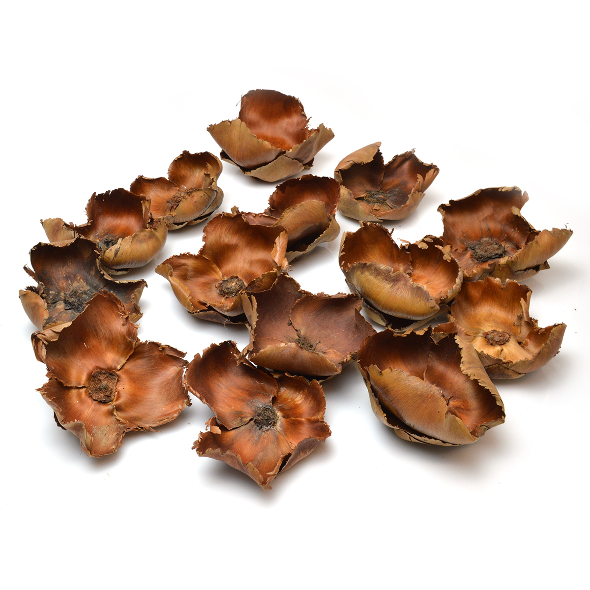 Set 14 buc floare de palmier natur AFO