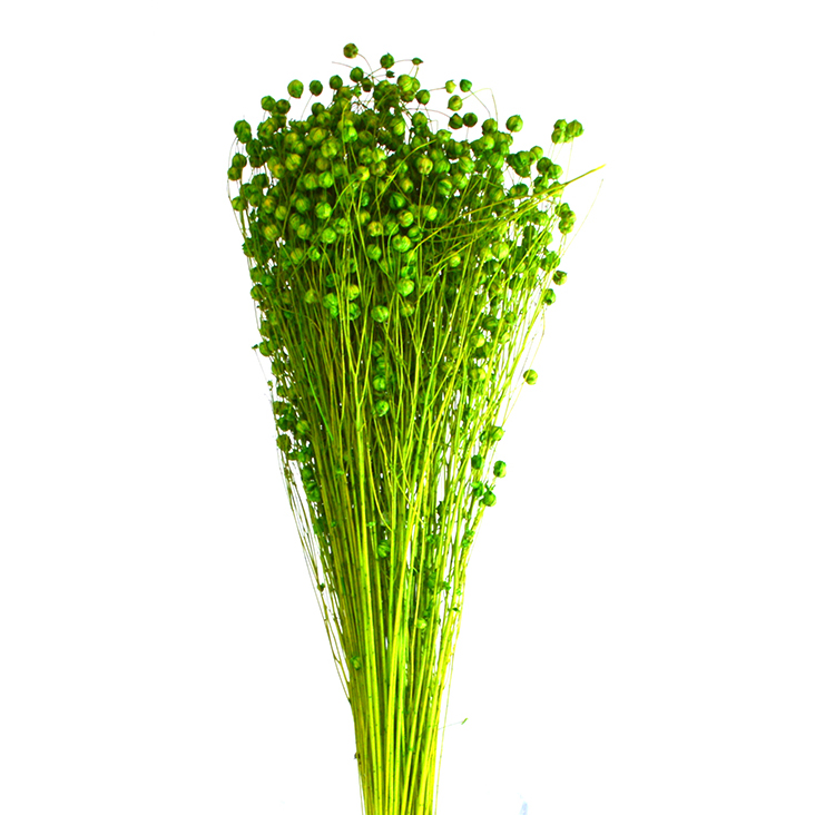 Buchet seminte de in verde afo