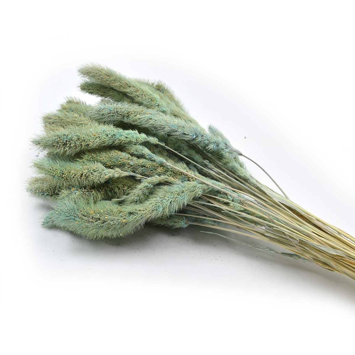 Plante uscate buchet mohor turqoise