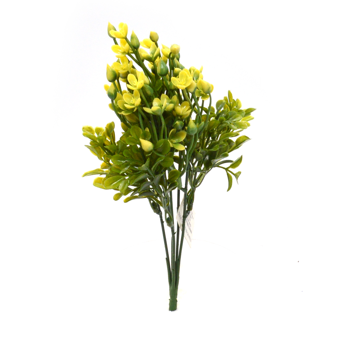 Buchet kalanchoe cu flori galben