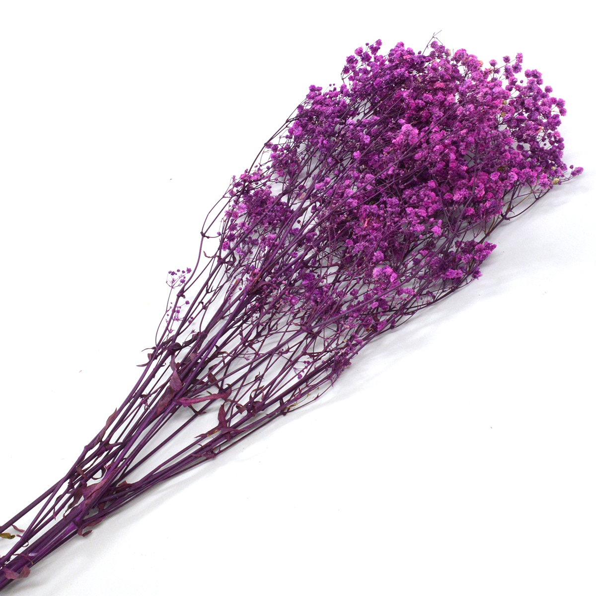 Buchet gypsophila natural conservata mov