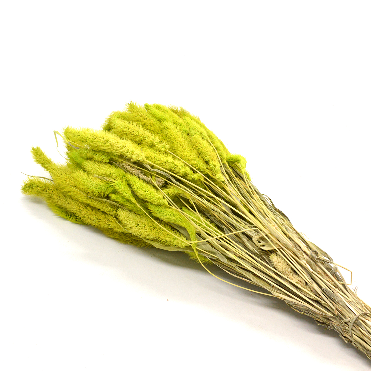Plante uscate buchet mohor verde deschis