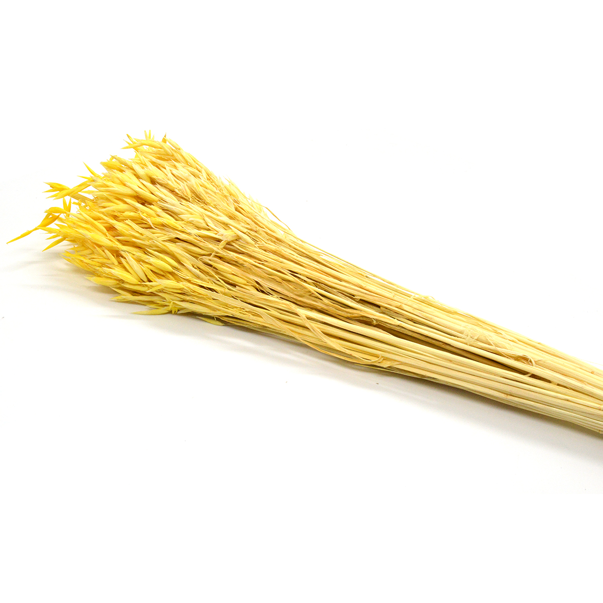 Buchet ovaz natural galben
