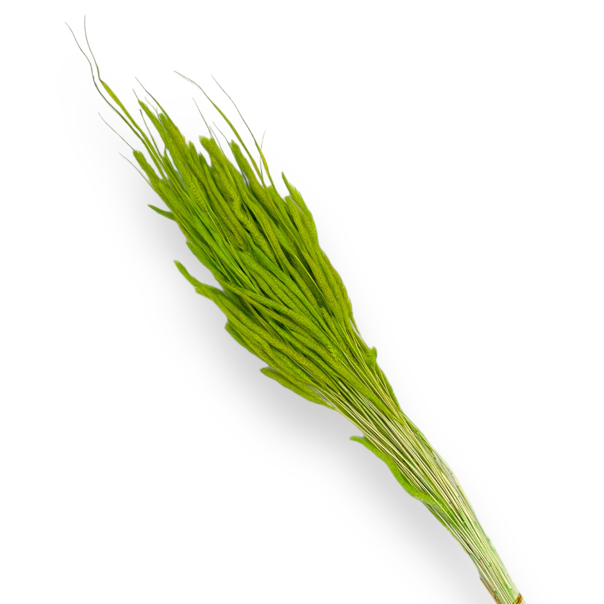 Buchet Mini Mohor 50g Verde