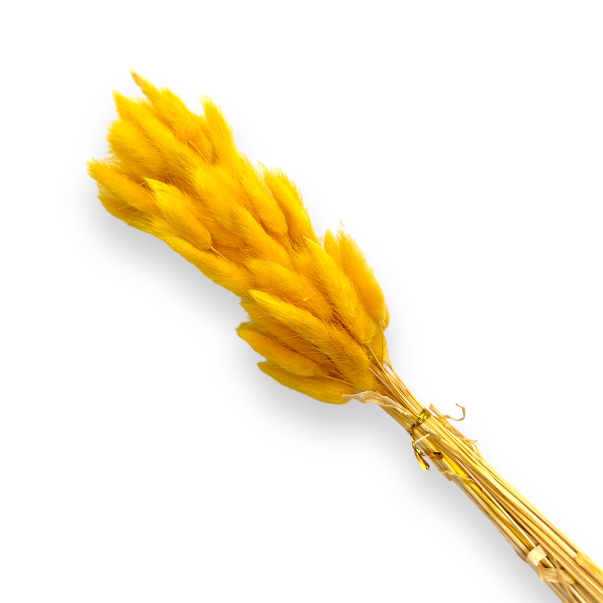 Buchet Lagurus Galben 85-65
