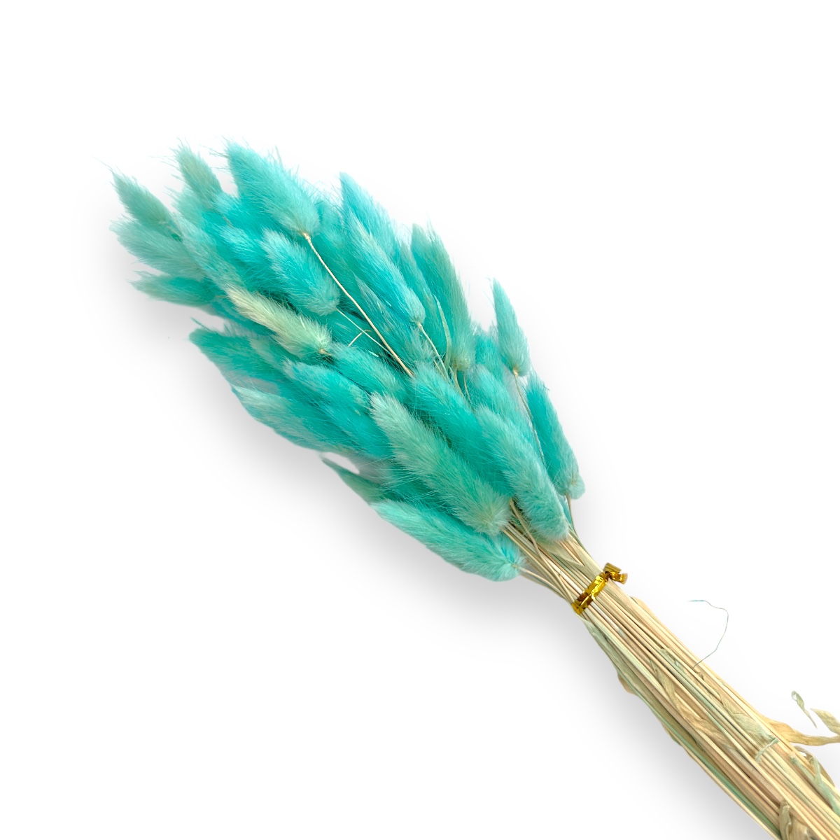 Buchet Lagurus turquoise deschis