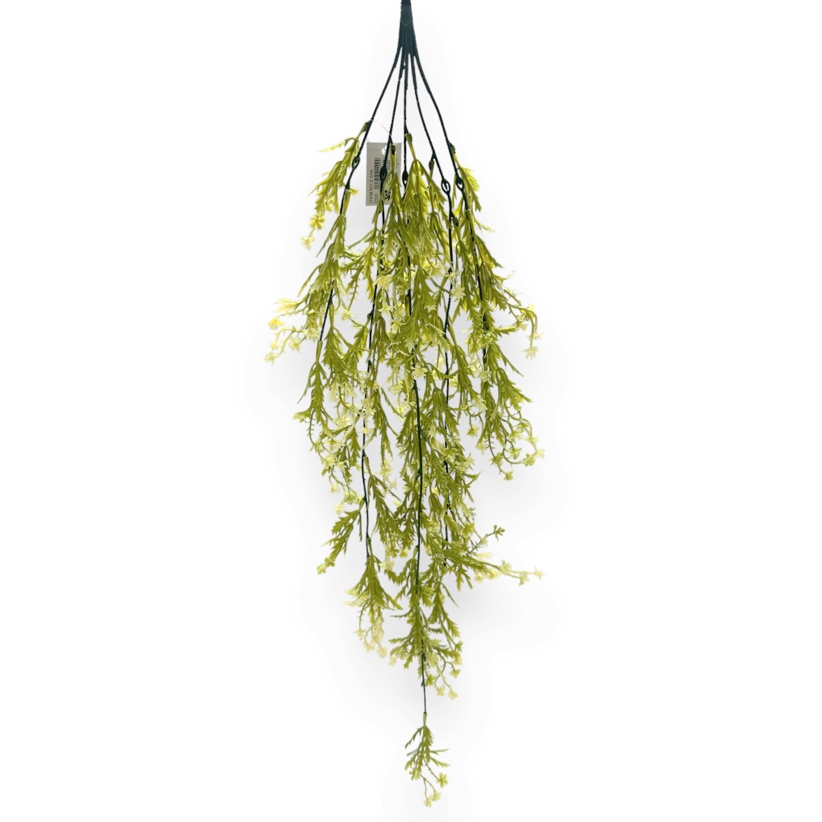 Verdeata Curgatoare Dill Verde cu Alb