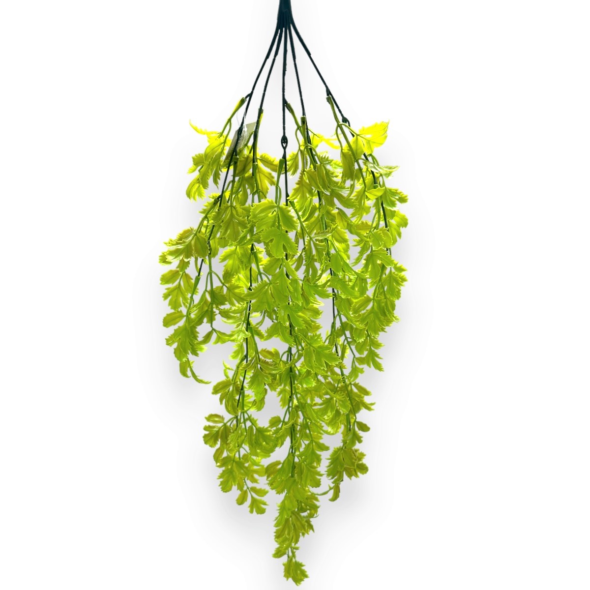 Verdeata Curgatoare Prasley Verde deschis