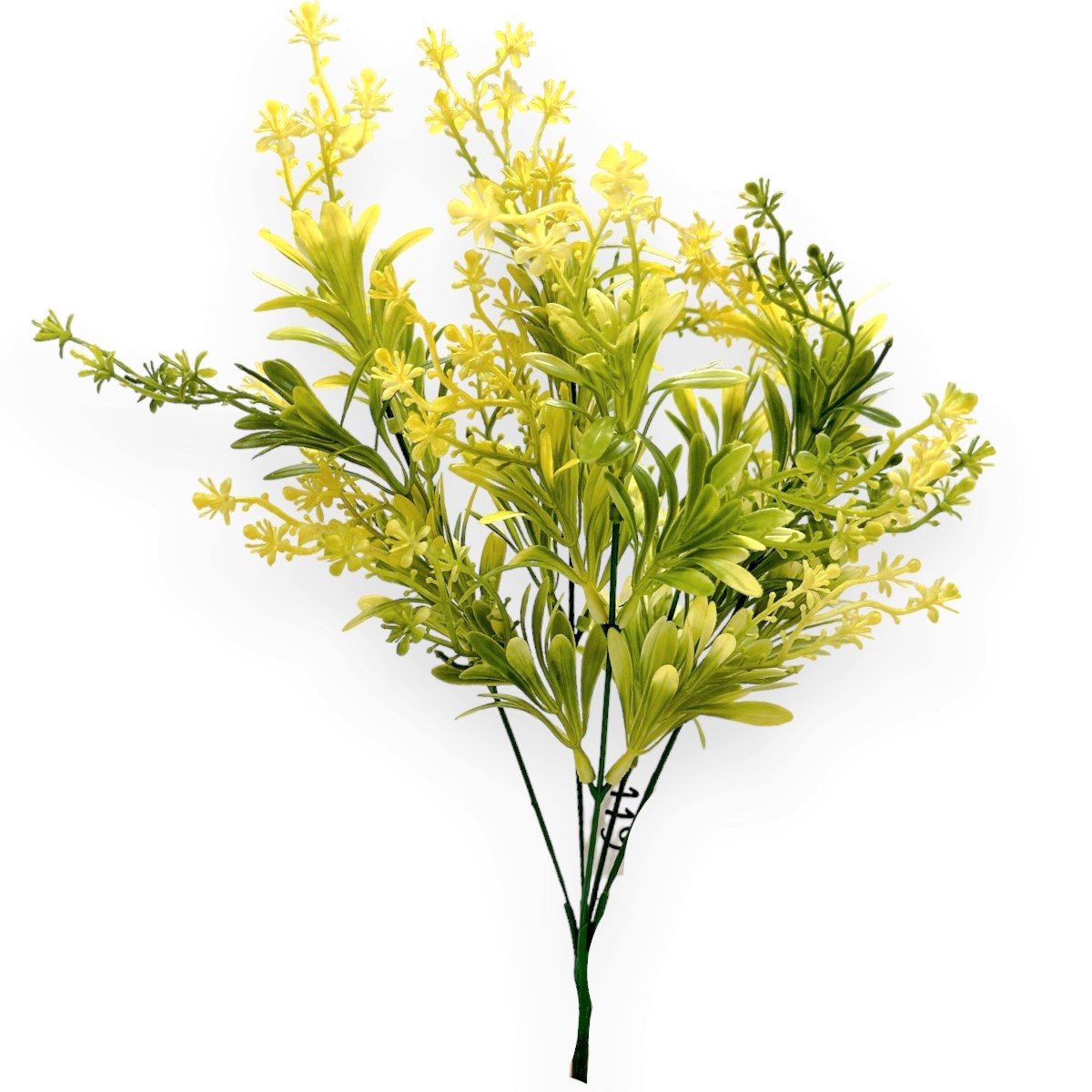 Buchet Coleonema Galben