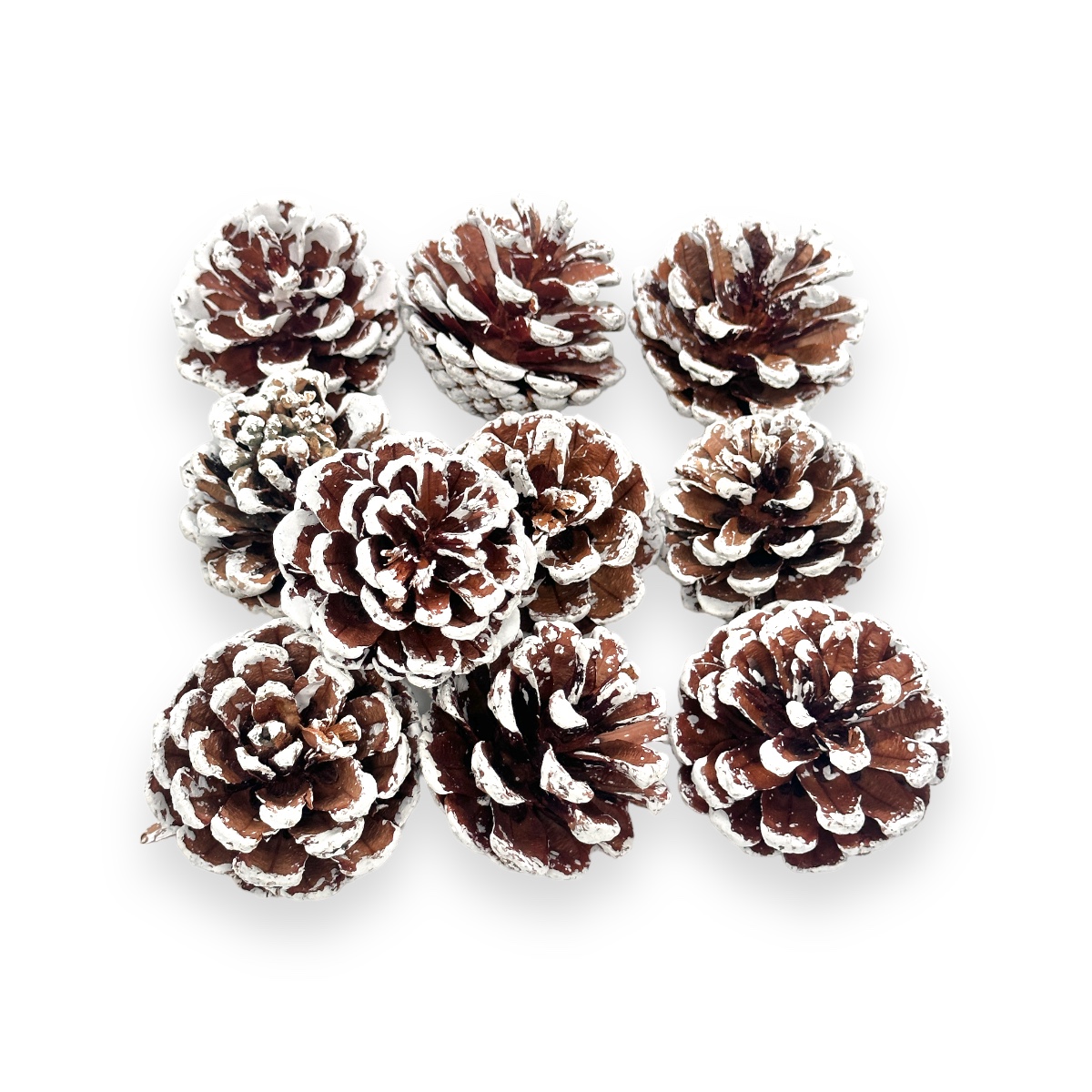 Set 10 Conuri de Brad 5 cm Natur cu Alb