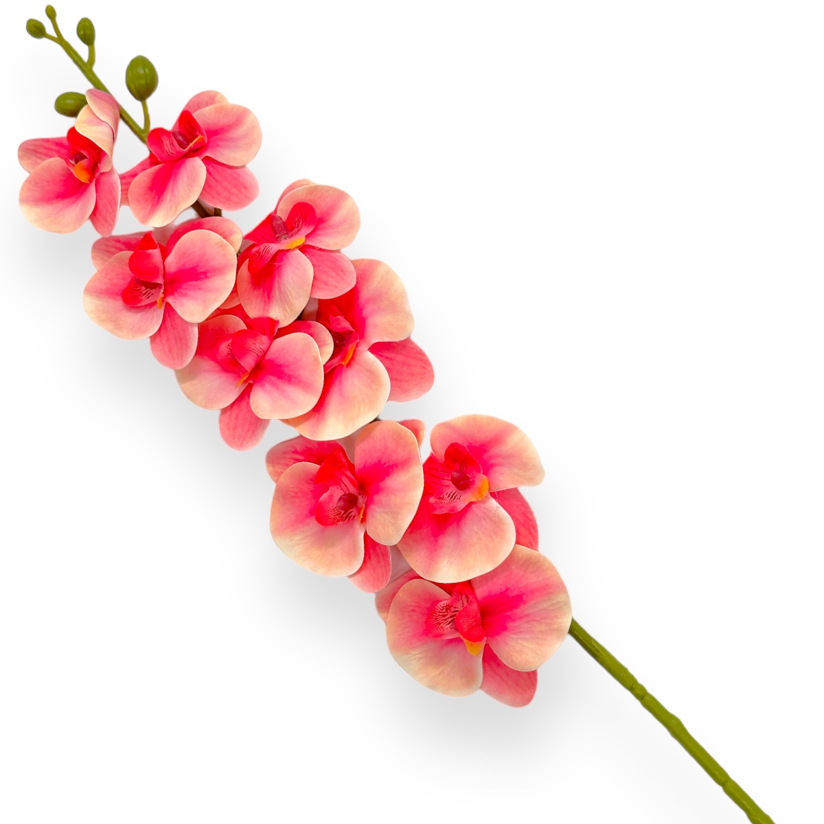 Fir orhidee siliconata Dendrobium crem siclam