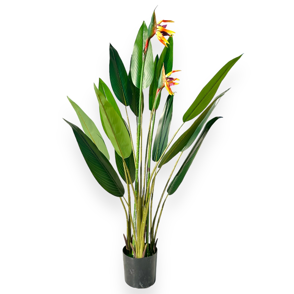 Planta Artificiala Premium Strelitzia 150CM