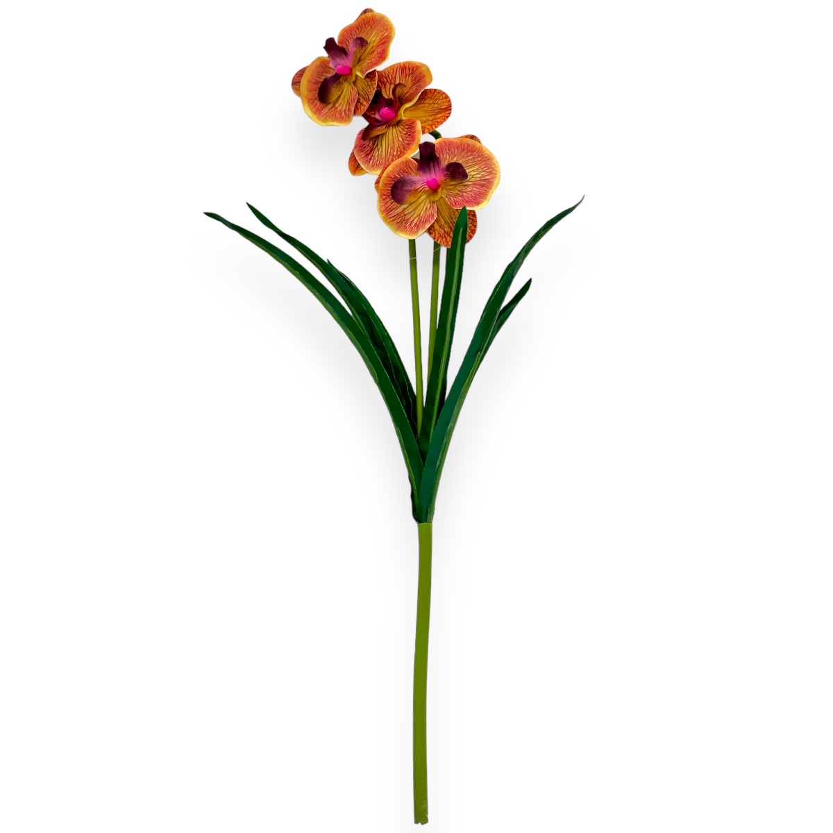 Buchet orhidee galben marsalla