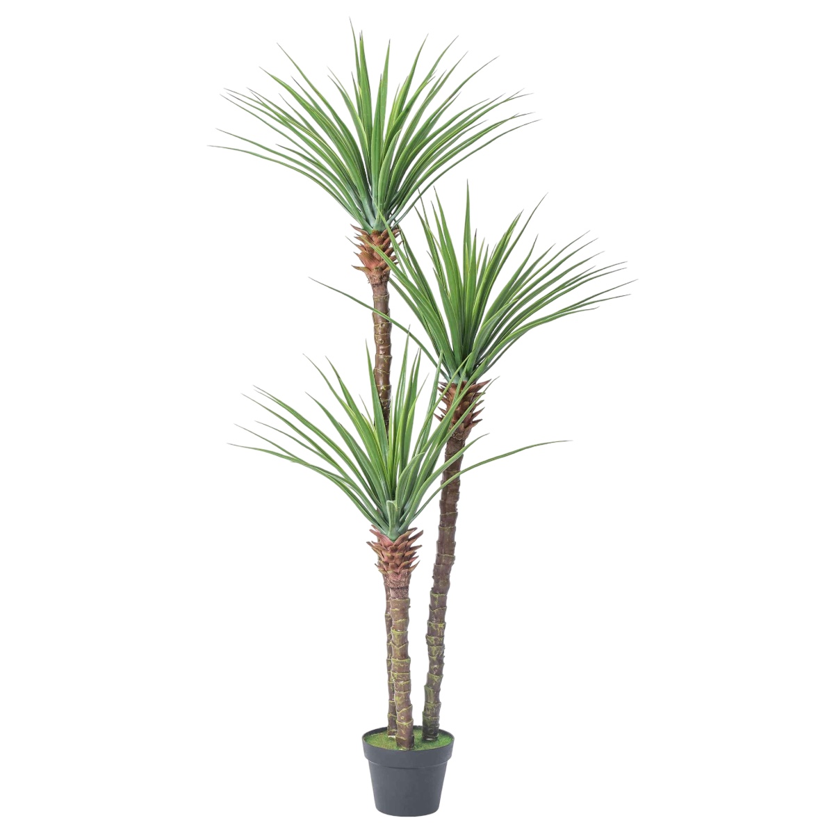Planta Artificiala Premium Dracaena cu 3 Tulpine 150CM