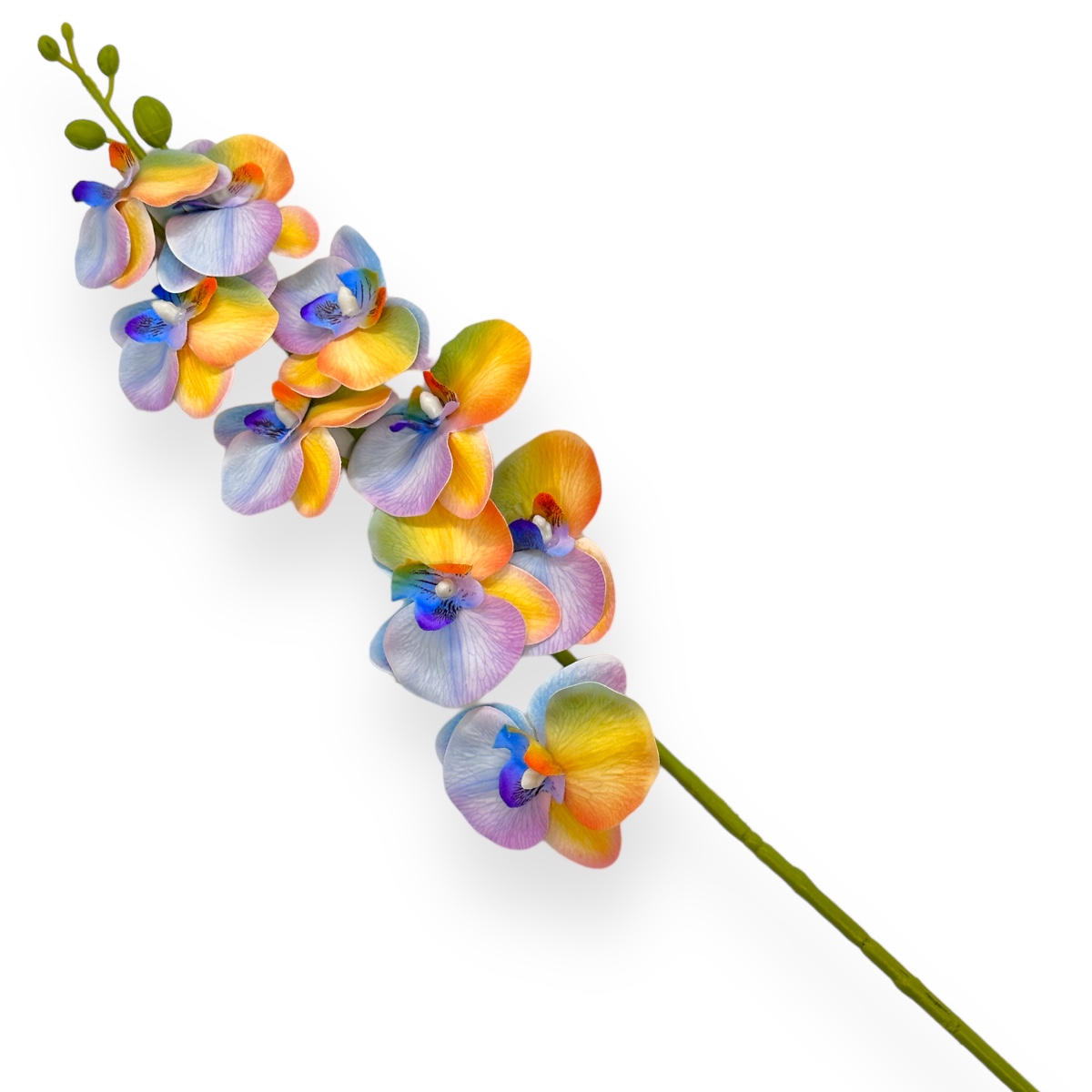 Fir orhidee siliconata Luxury multicolor
