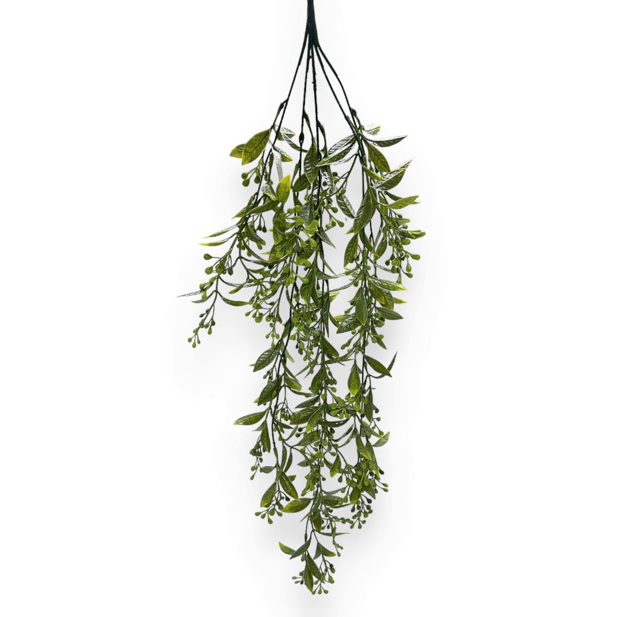 Verdeata Curgatoare Phoradendron Neo Verde cu Verde