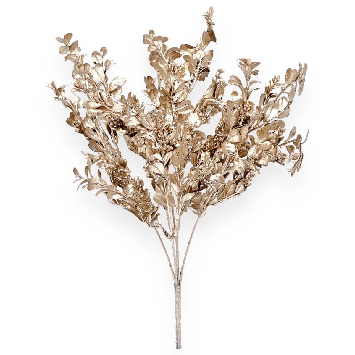 Crenguta 5 fire buxifolium si coleonema roze gold