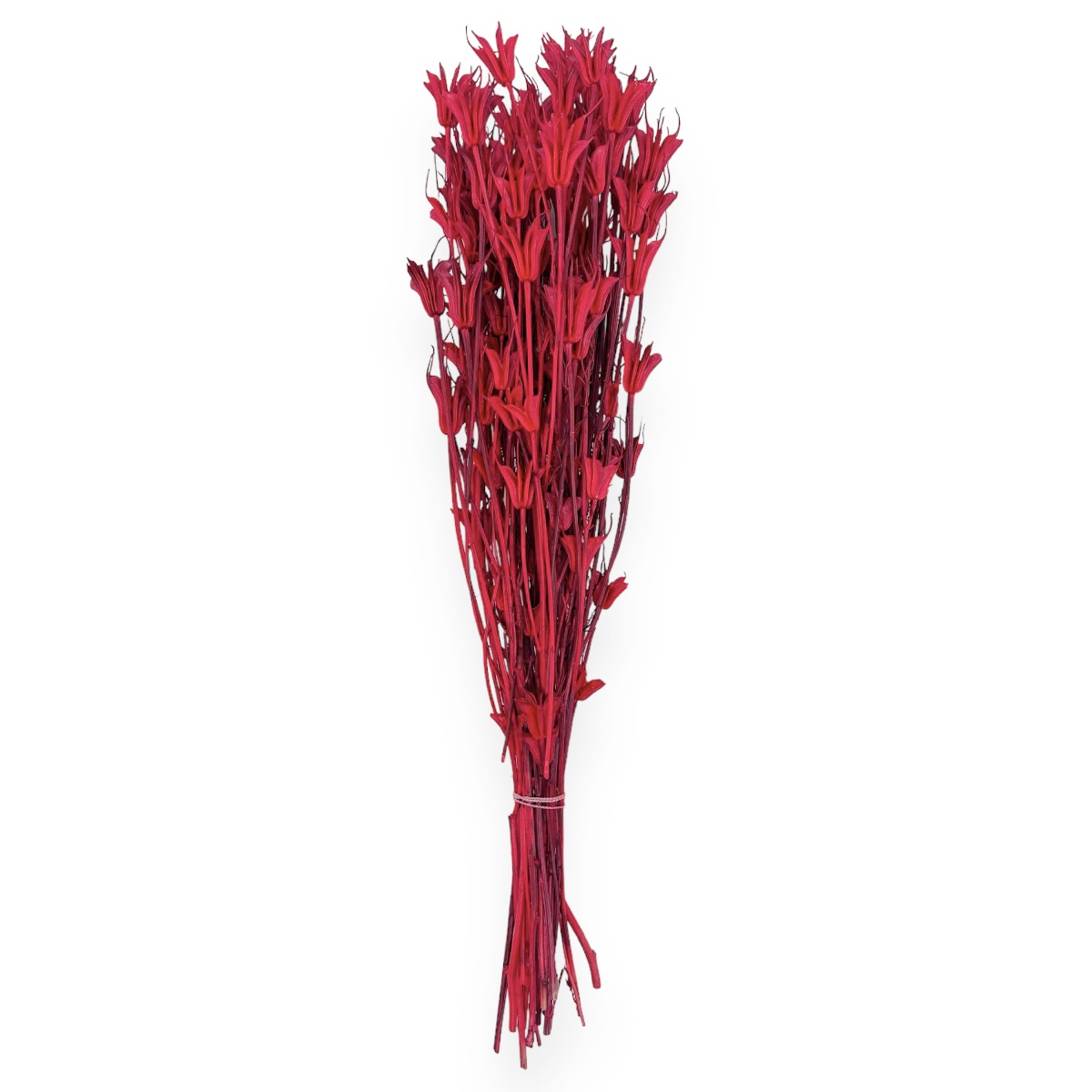 Buchet uscat Nigella Orientalis Premium Rosu