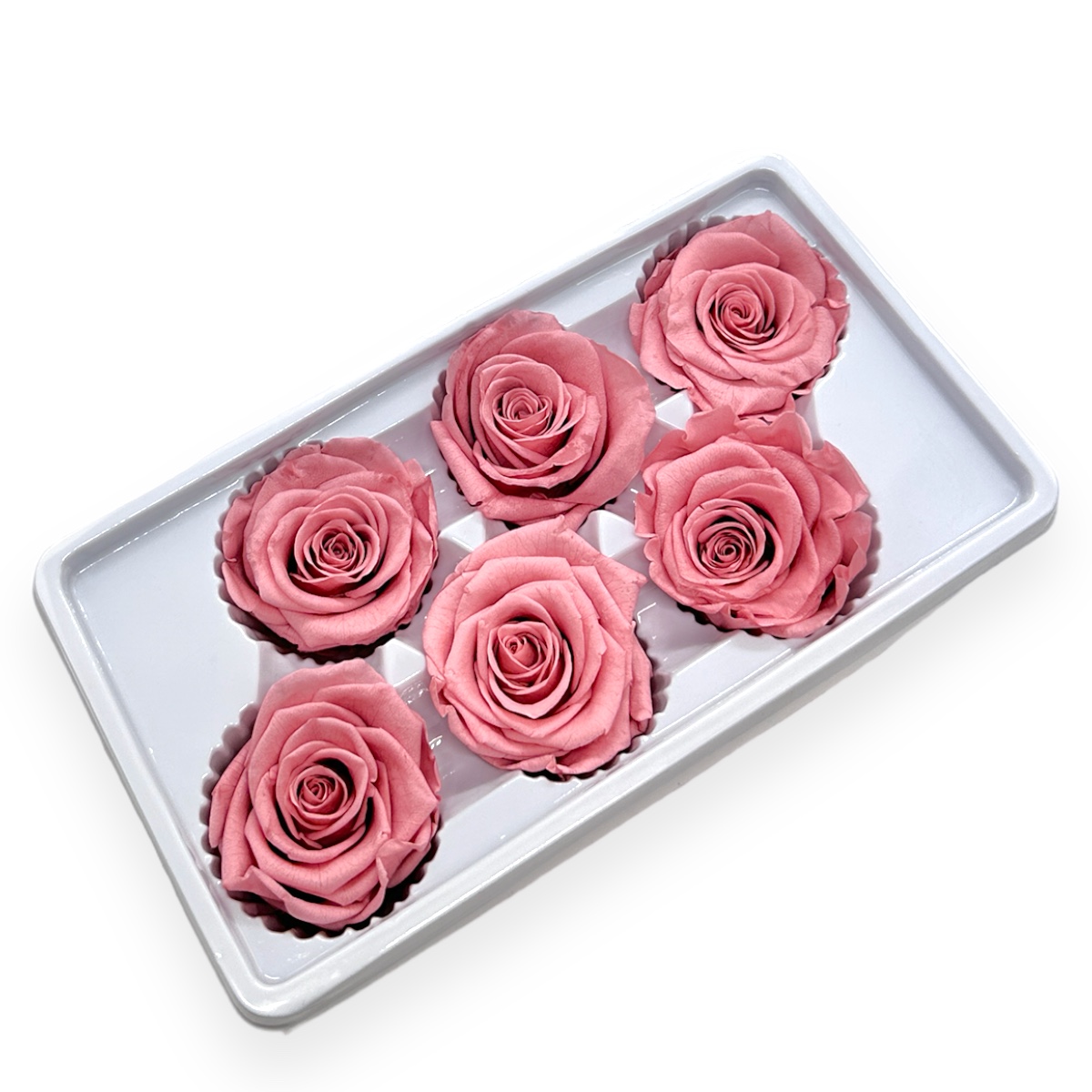 Set 6 Trandafiri Criogenati 5-6cm - Roze