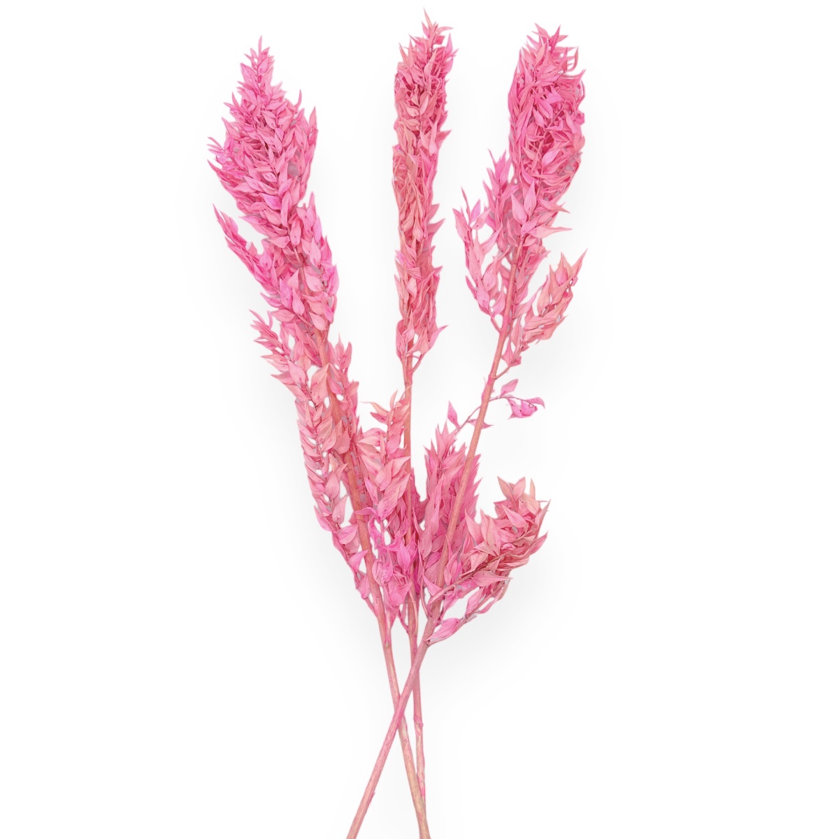 Buchet ruscus natural roz