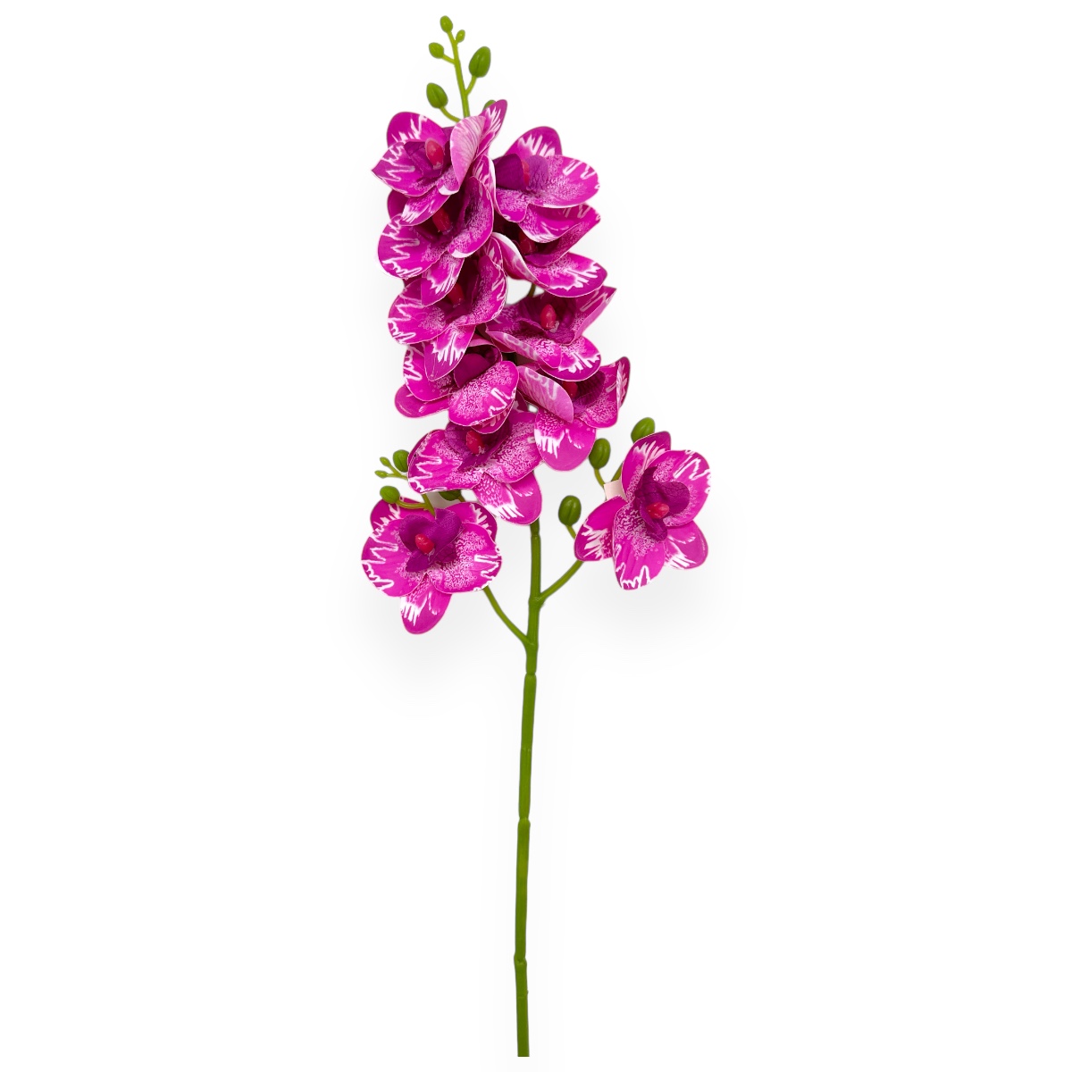 Fir orhidee siliconata Phalaenopsis Siclam Marmorat