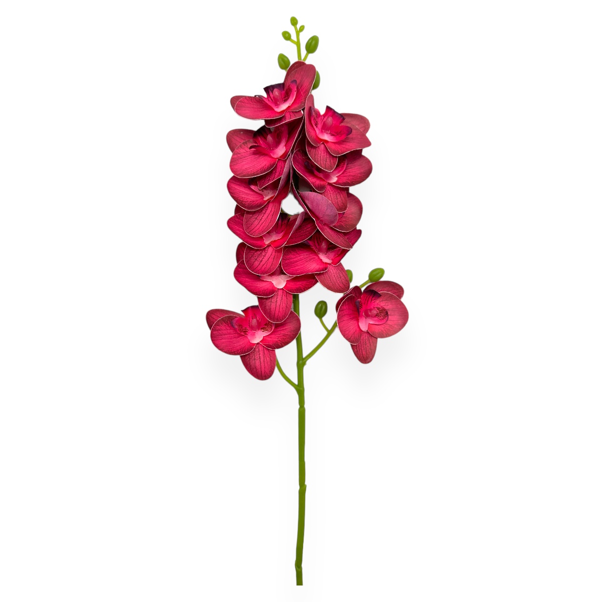 Fir orhidee siliconata Phalaenopsis Rosu Inchis