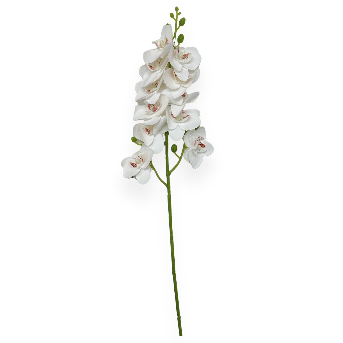 Fir orhidee siliconata Phalaenopsis alb