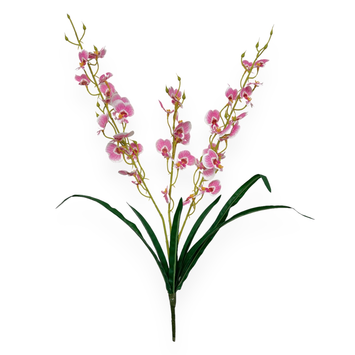 Buchet 3 Fire Orhidee Cambria cu Frunze Roz cu Alb