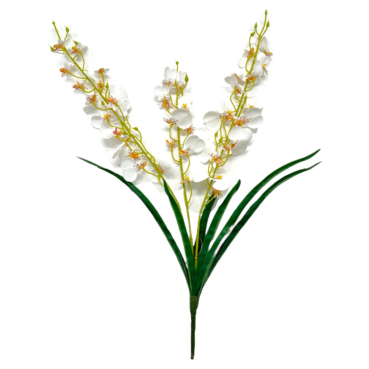 Buchet 3 Fire Orhidee Cambria cu Frunze Alb