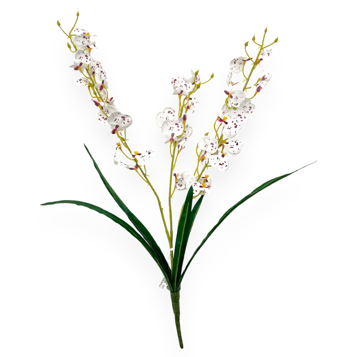 Buchet 3 Fire Orhidee Cambria cu Frunze Alb cu Marsalla