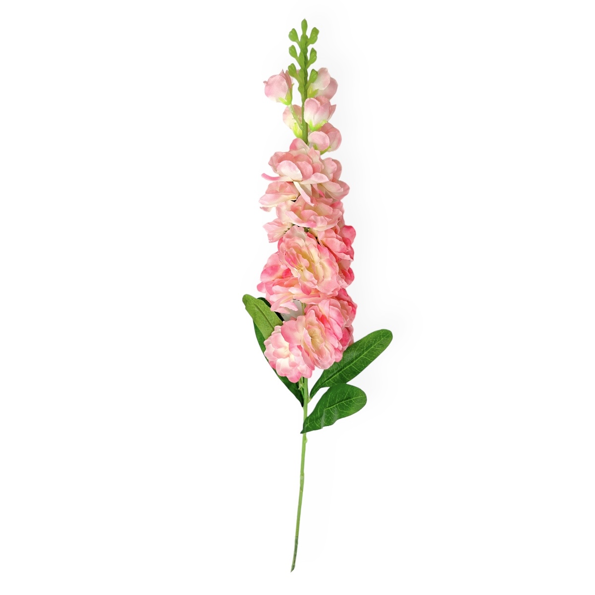 Fir Delphinium Neo Roz cu Crem