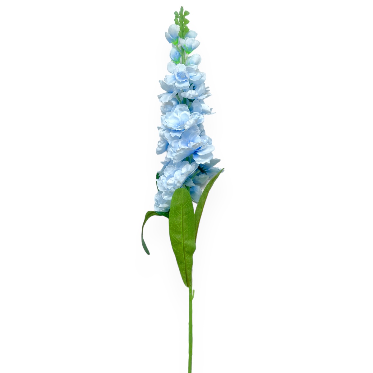 Fir Delphinium Neo Bleo