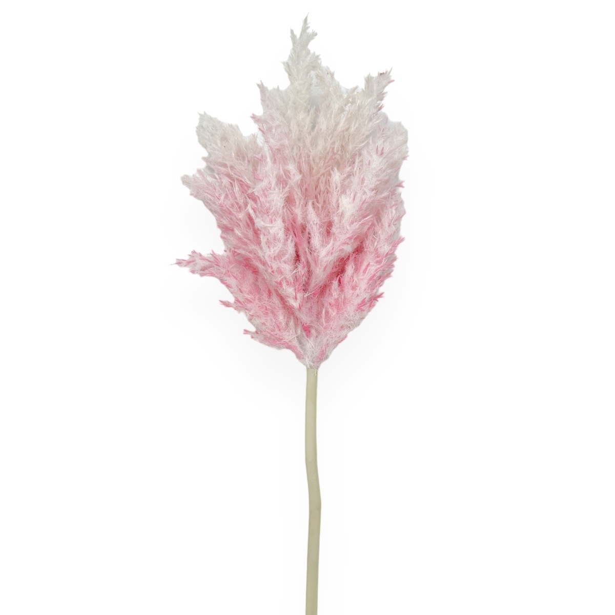 Fir Artificial Pampas Roz