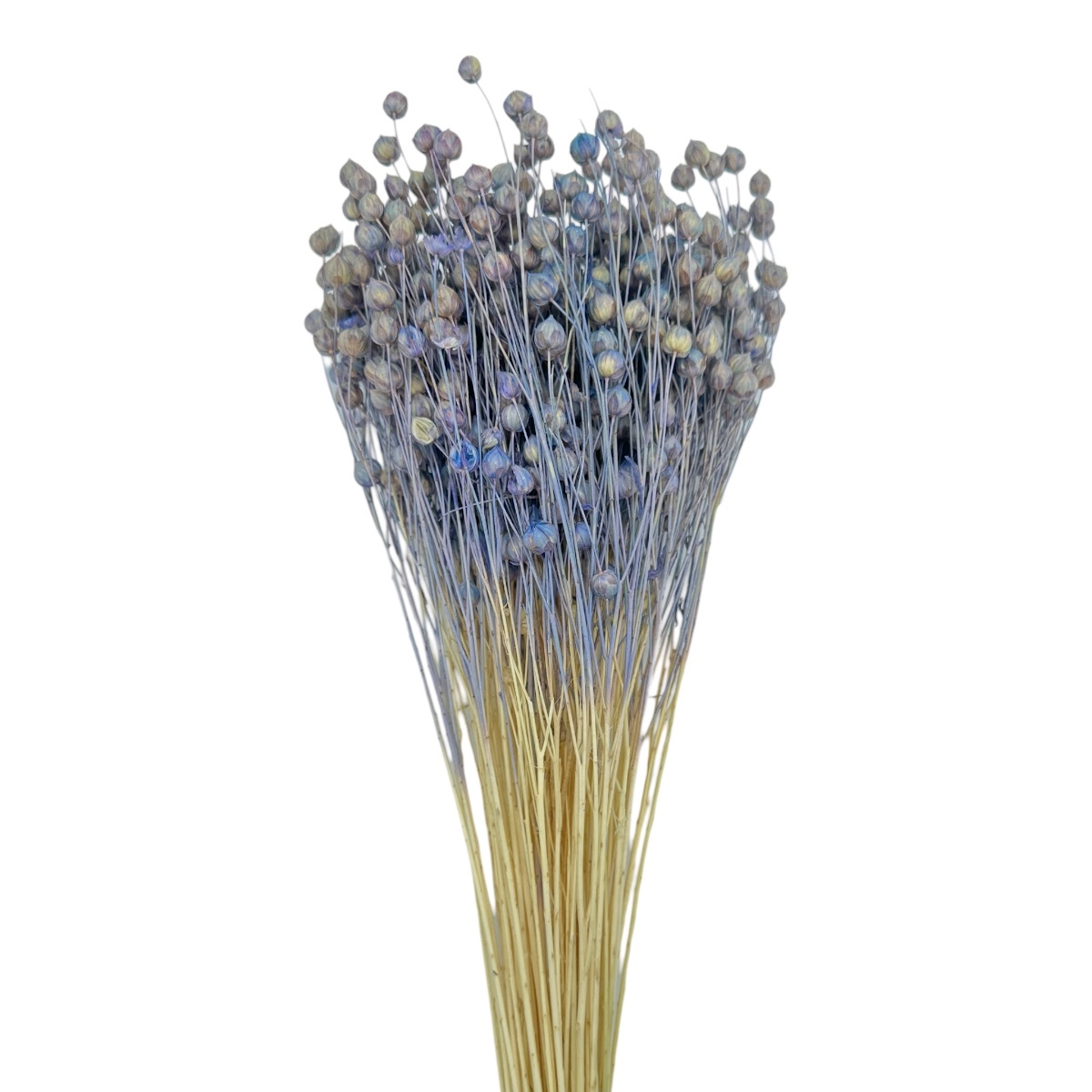 Buchet seminte de in lavander
