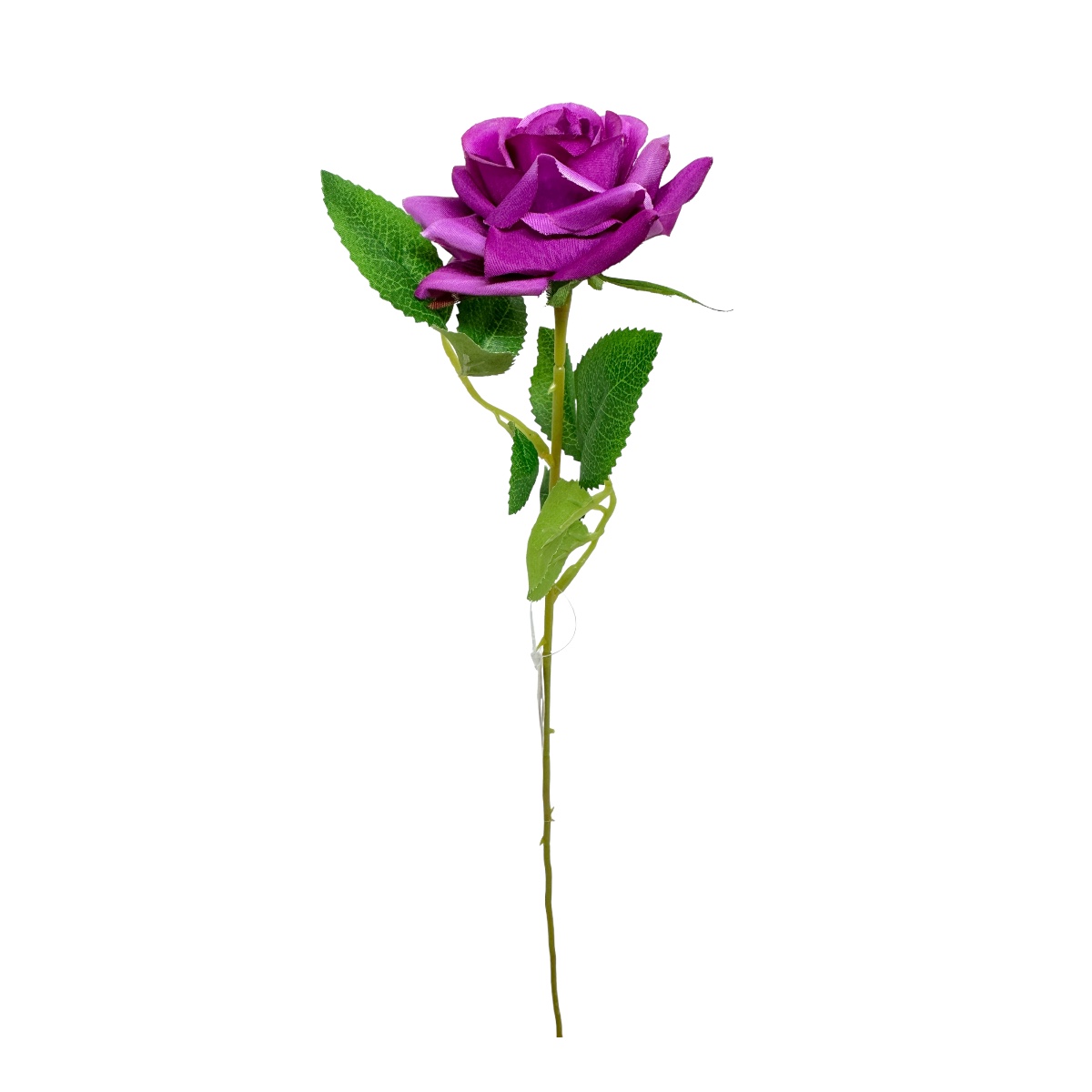 Fir Trandafir Fuchsia P2017/47