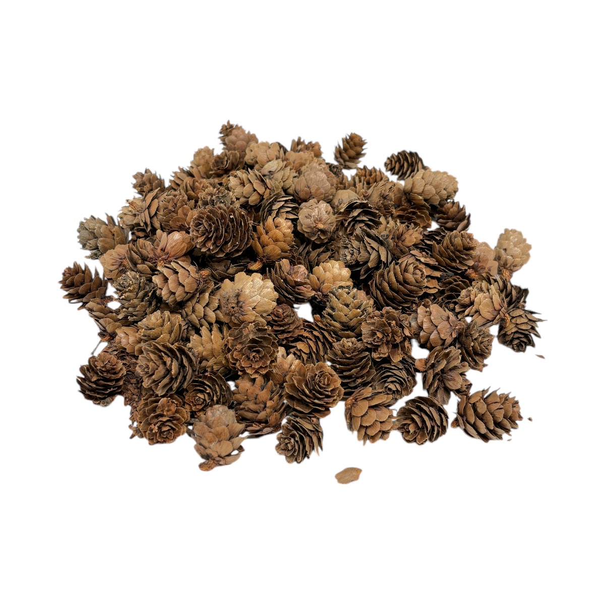 Set mini Conuri de Brad Natur