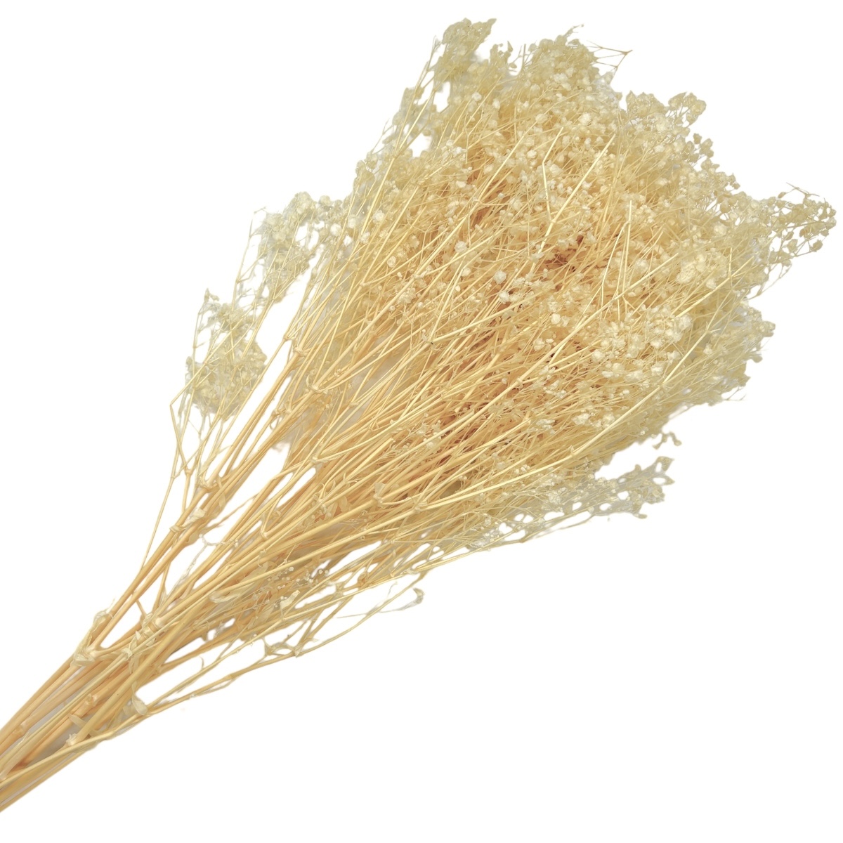Buchet gypsophila natural conservata albit natural
