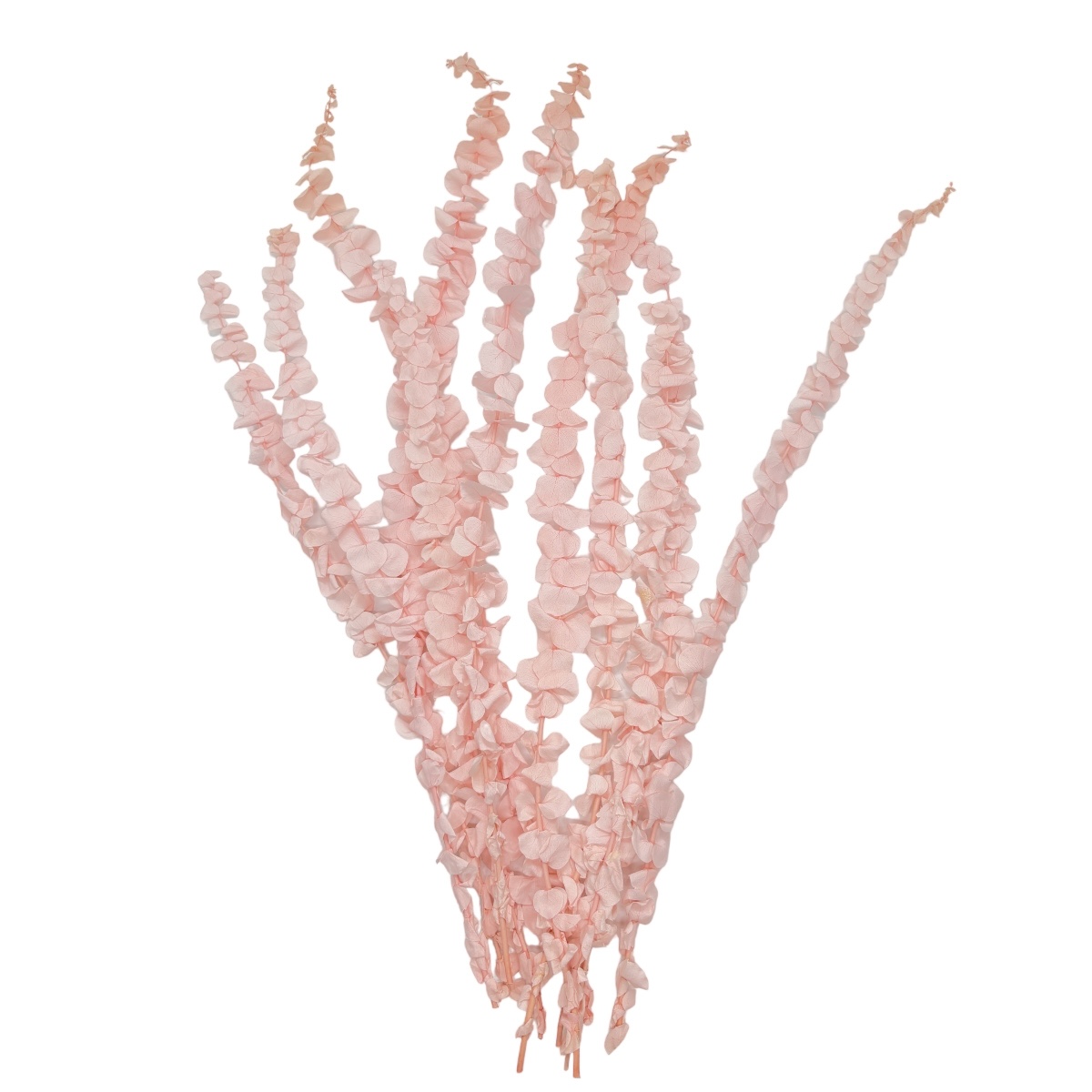 Buchet Eucalipt baby 68cm roz