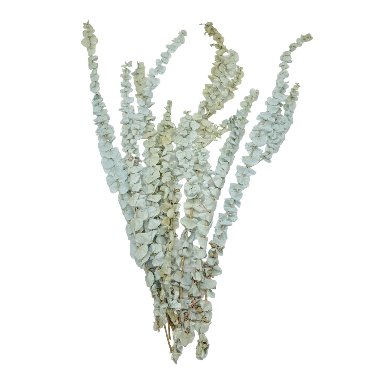 Buchet Eucalipt baby 68cm bluegrey