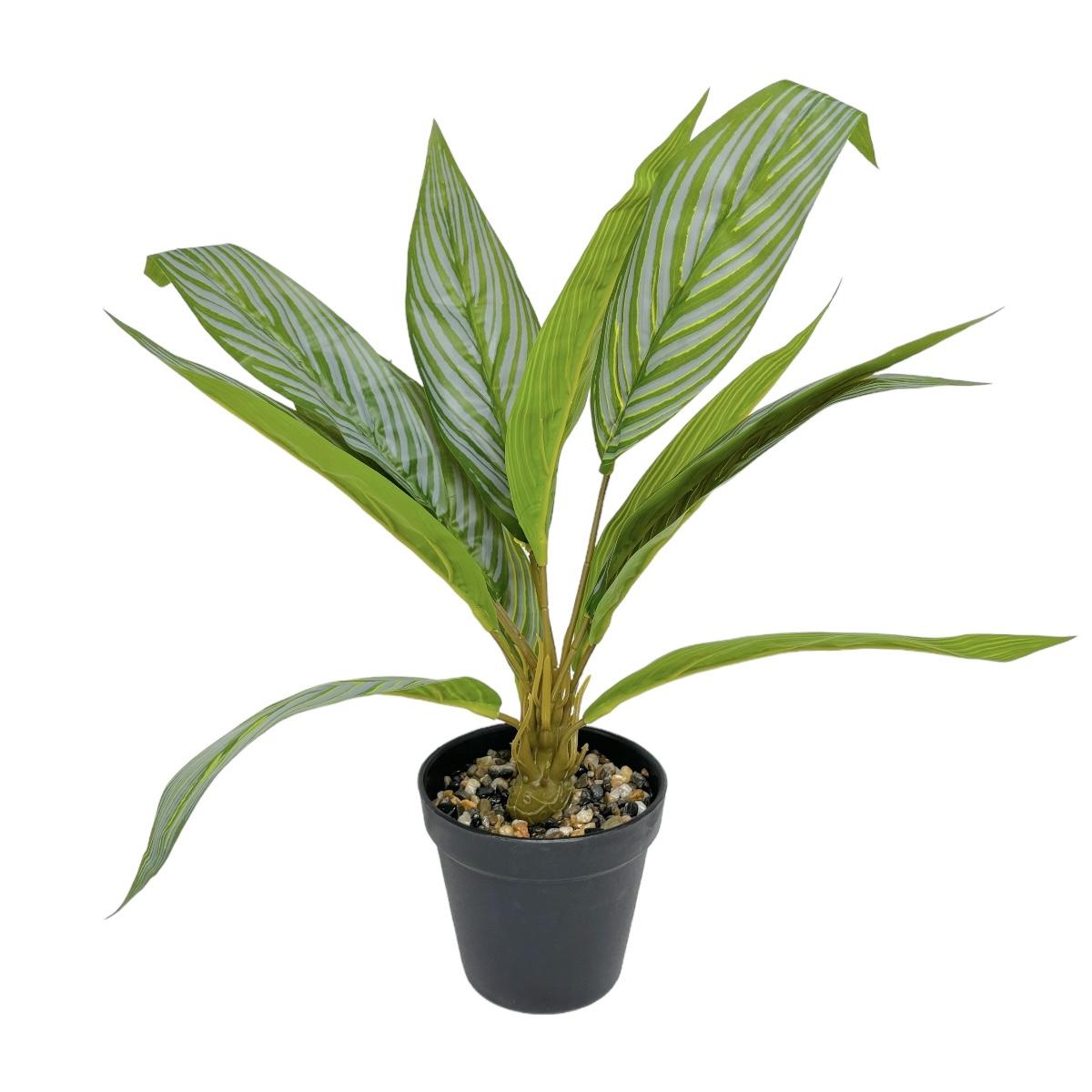 Planta Artificiala 38CM Calathea Elliptica