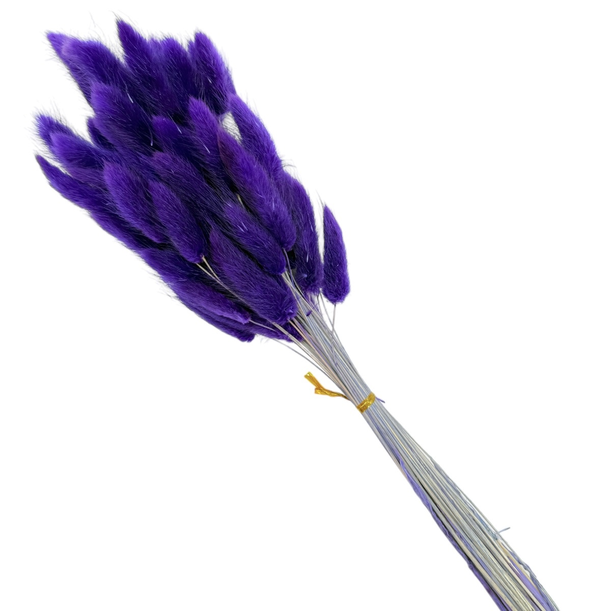 Buchet Lagurus Mov Inchis 85-65