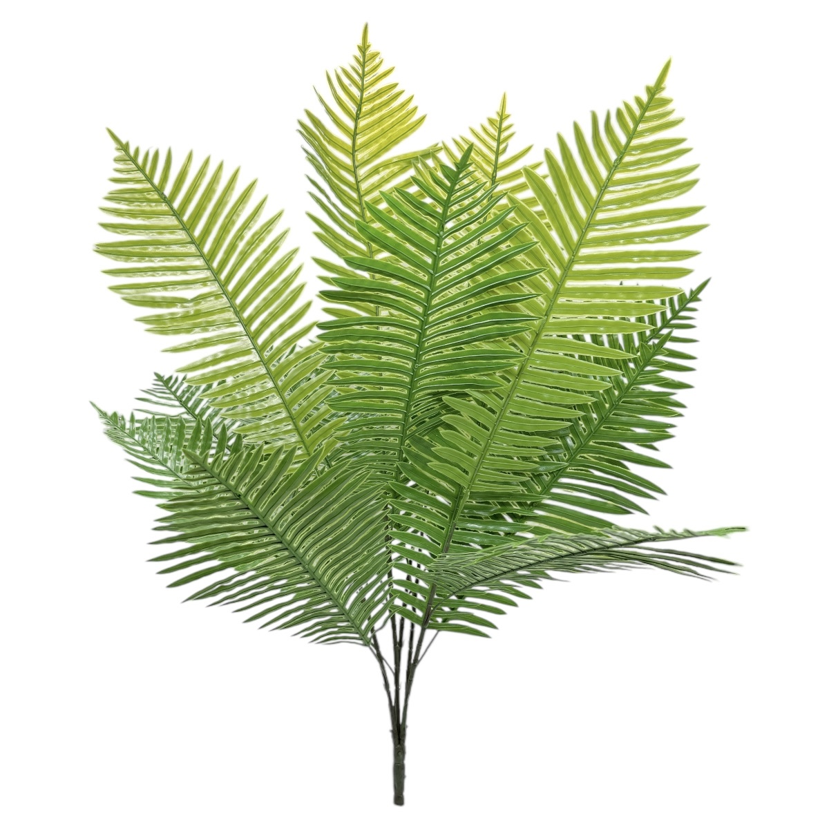 Buchet 15 Fire Feriga Mare Verde