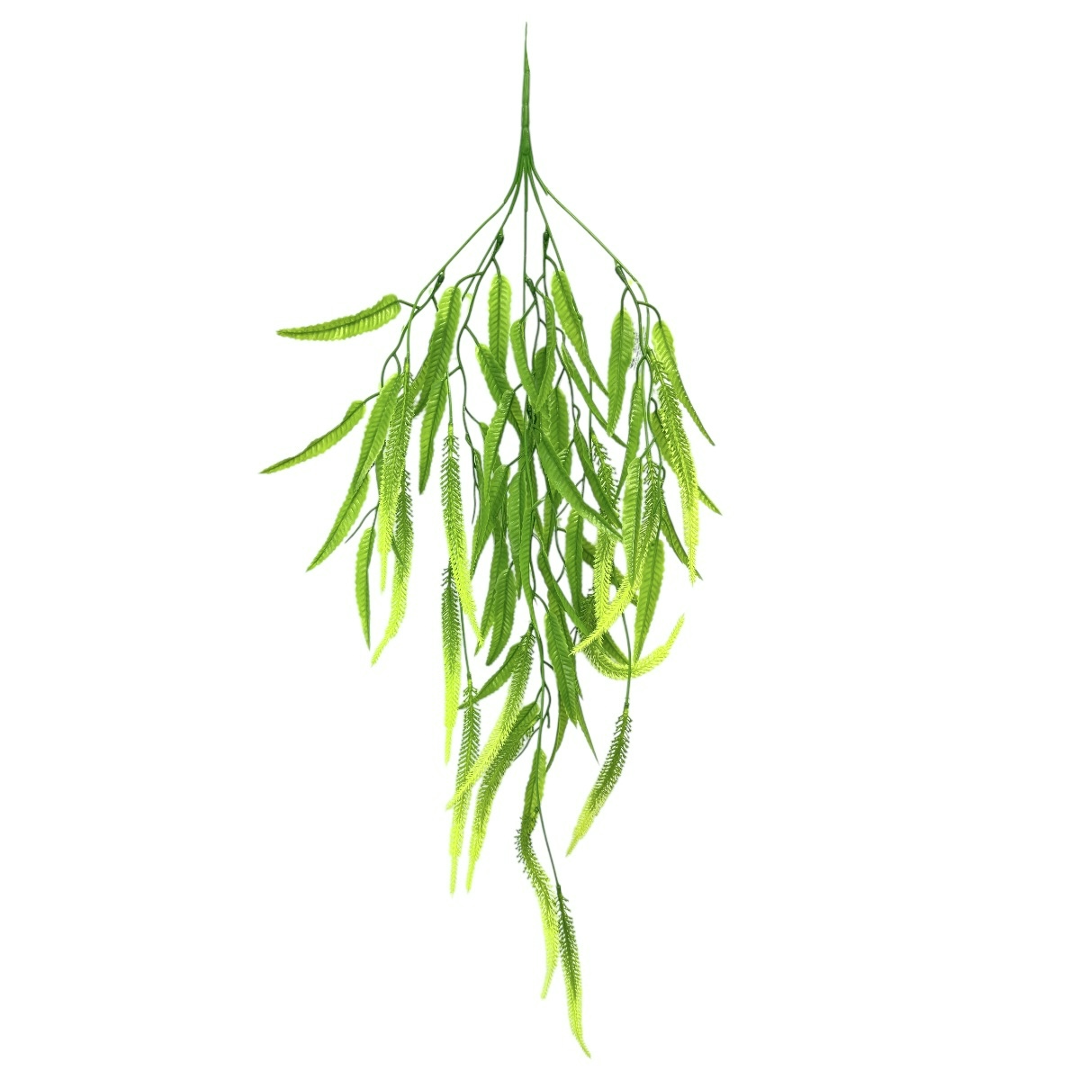 Verdeata Curgatoare Frunze de Feriga si Eremurus Verde