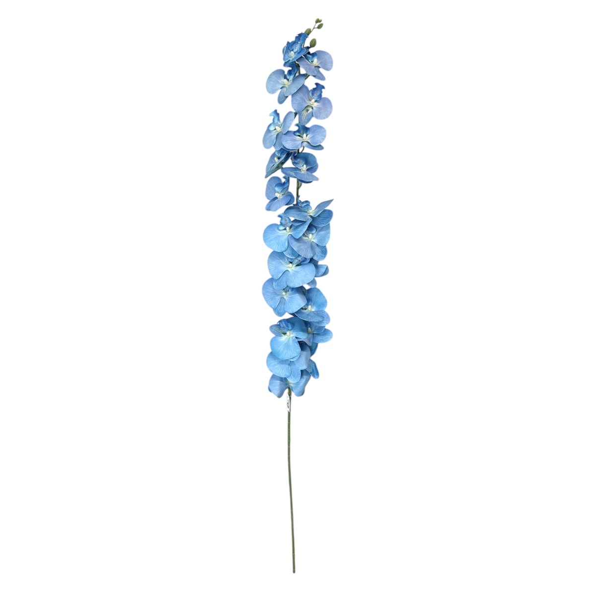 Orhidee Fir Realtouch Gigant Blue Sky 135cm