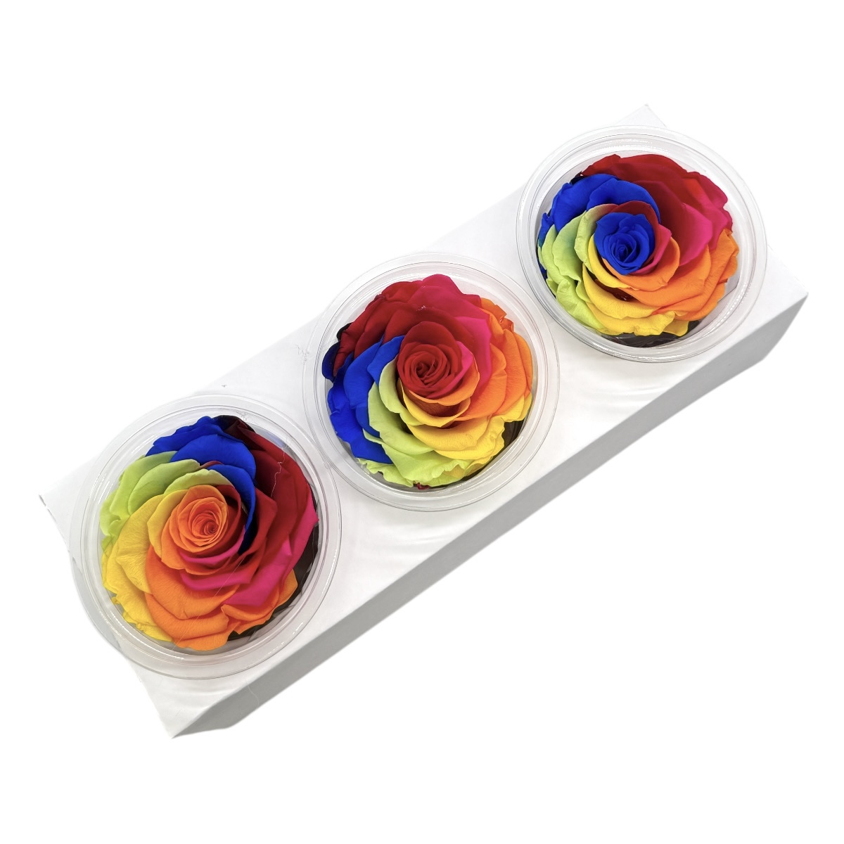 Set 3 Trandafiri Criogenati 8cm Rainbow