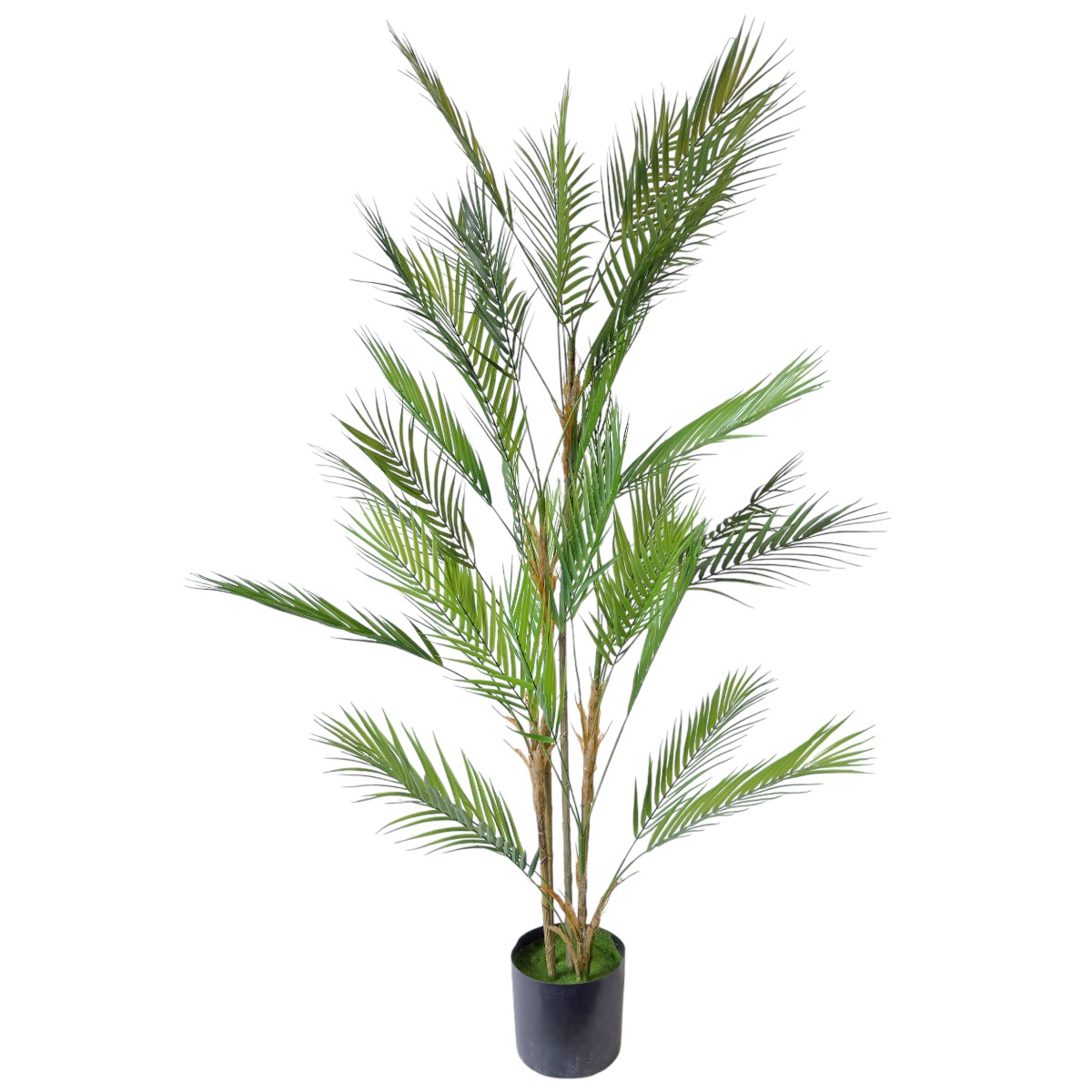 Planta Artificiala Premium Costarica cu 5 Tulpine 150cm
