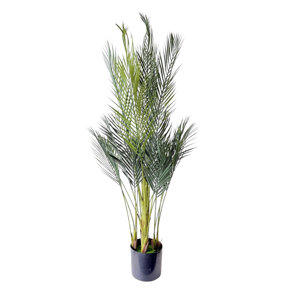 Planta Artificiala Premium Phoenix cu 5 Tulpine 150cm