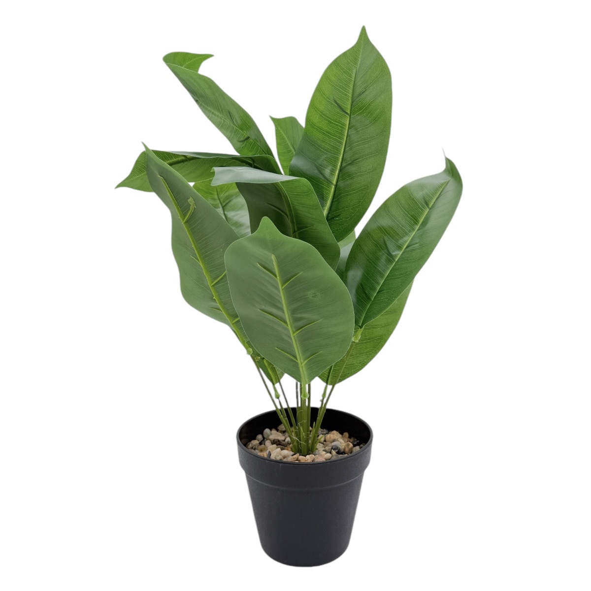 Ghiveci Plastic Conic Artificial Planta Dieffenbachia Verde 46cm