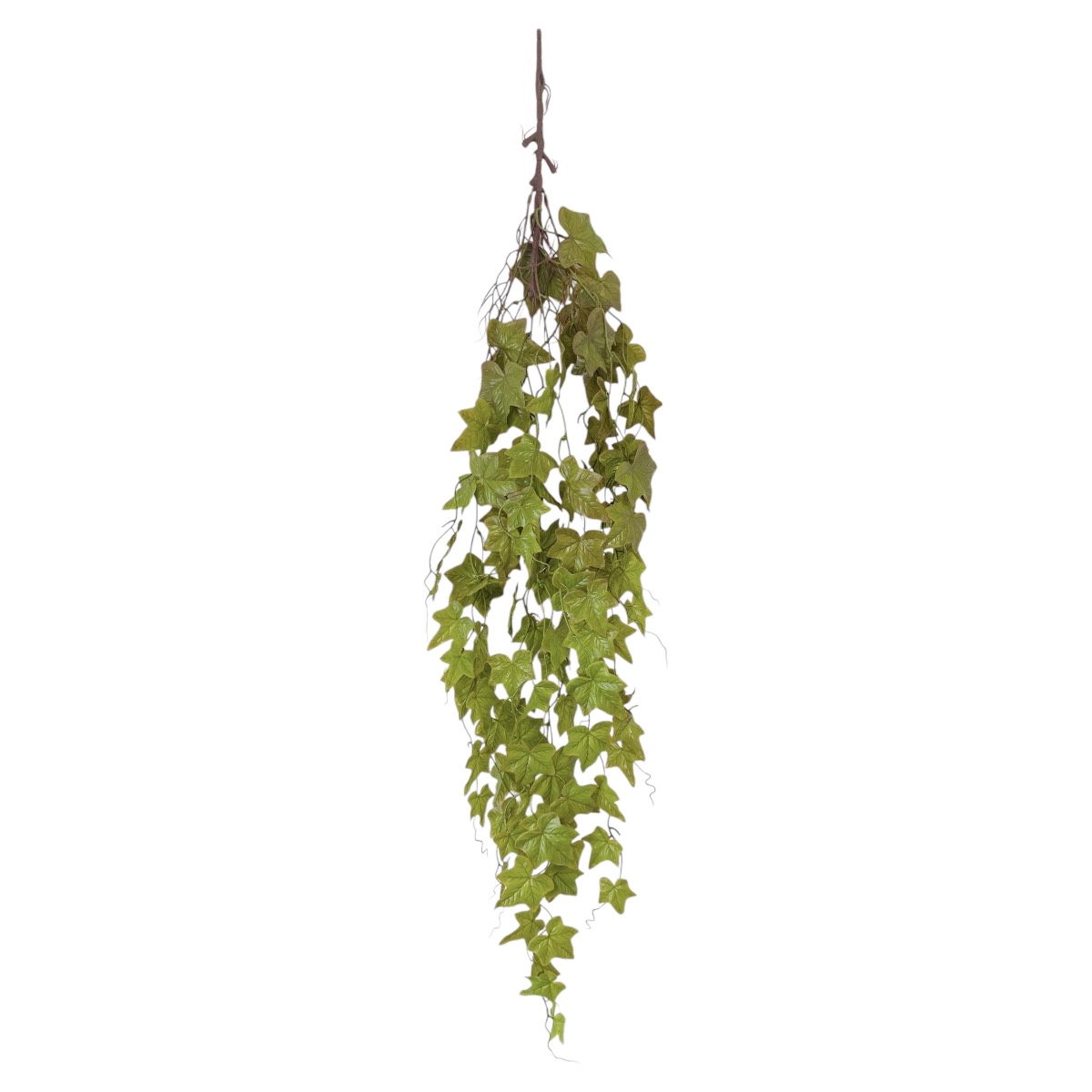 Verdeata Curgatoare Edera Mare Verde cu Grena 100cm