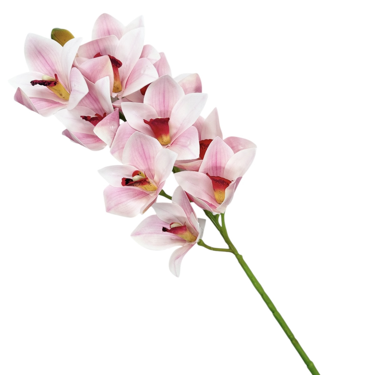 Cymbidium Fir Realtouch Roz cu Alb